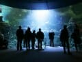 WIRED presents DIY DNA at Nightlife at the California Academy of Sciences - San Francisco, CA, USA