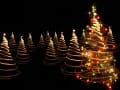 Lighted Trees
