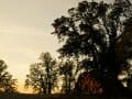 Meadow Sunset