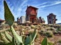 Cactus Town