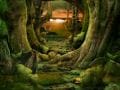 Enchanted Forest