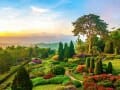Colorful Garden