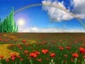 Land of OZ