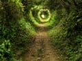 Garden Tunnel