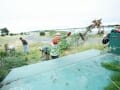 082_7775_BC_0330