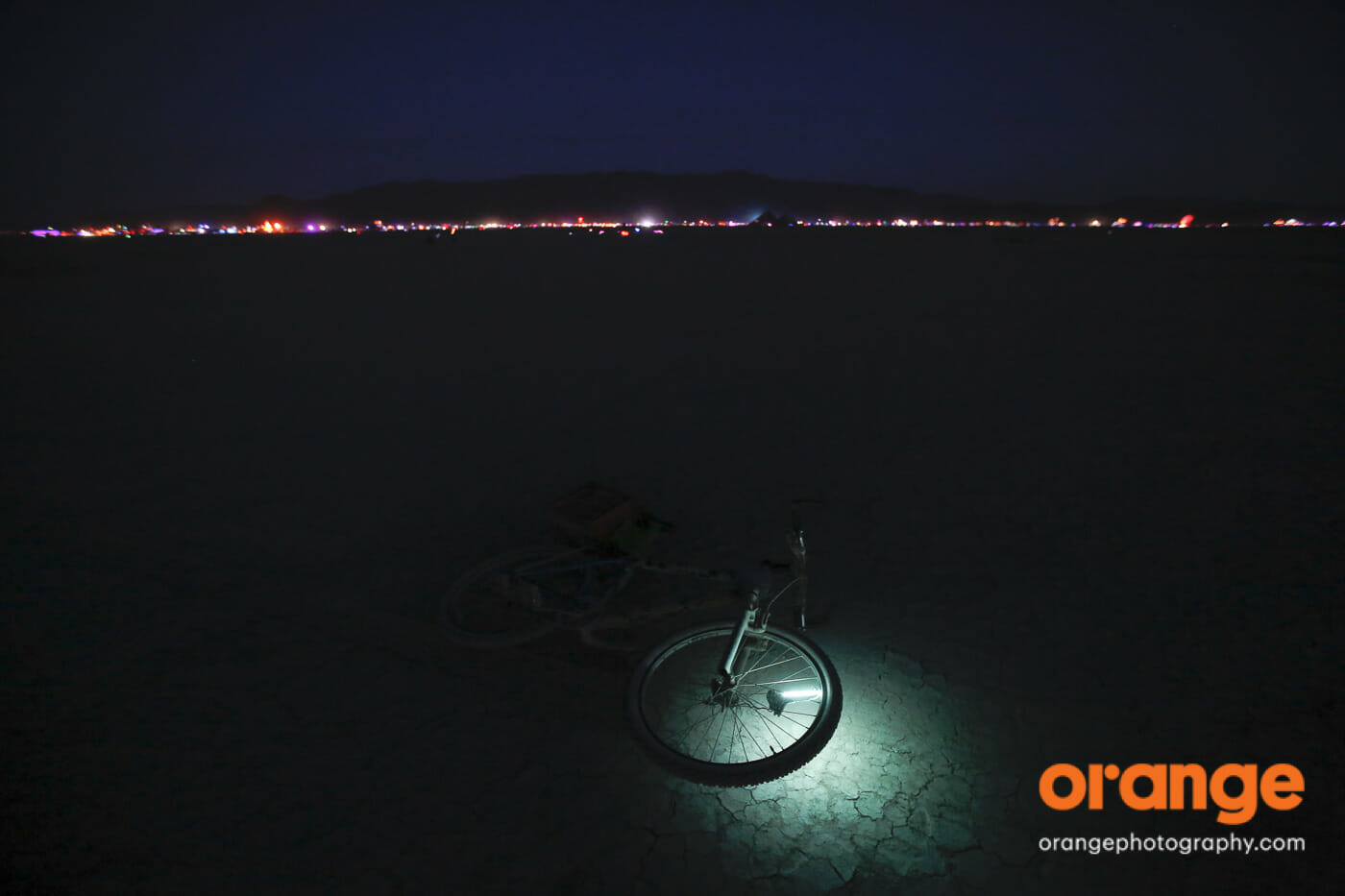 solitude at the trash fence