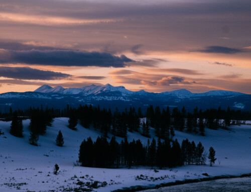 Badlands and Yellowstone National Parks photography