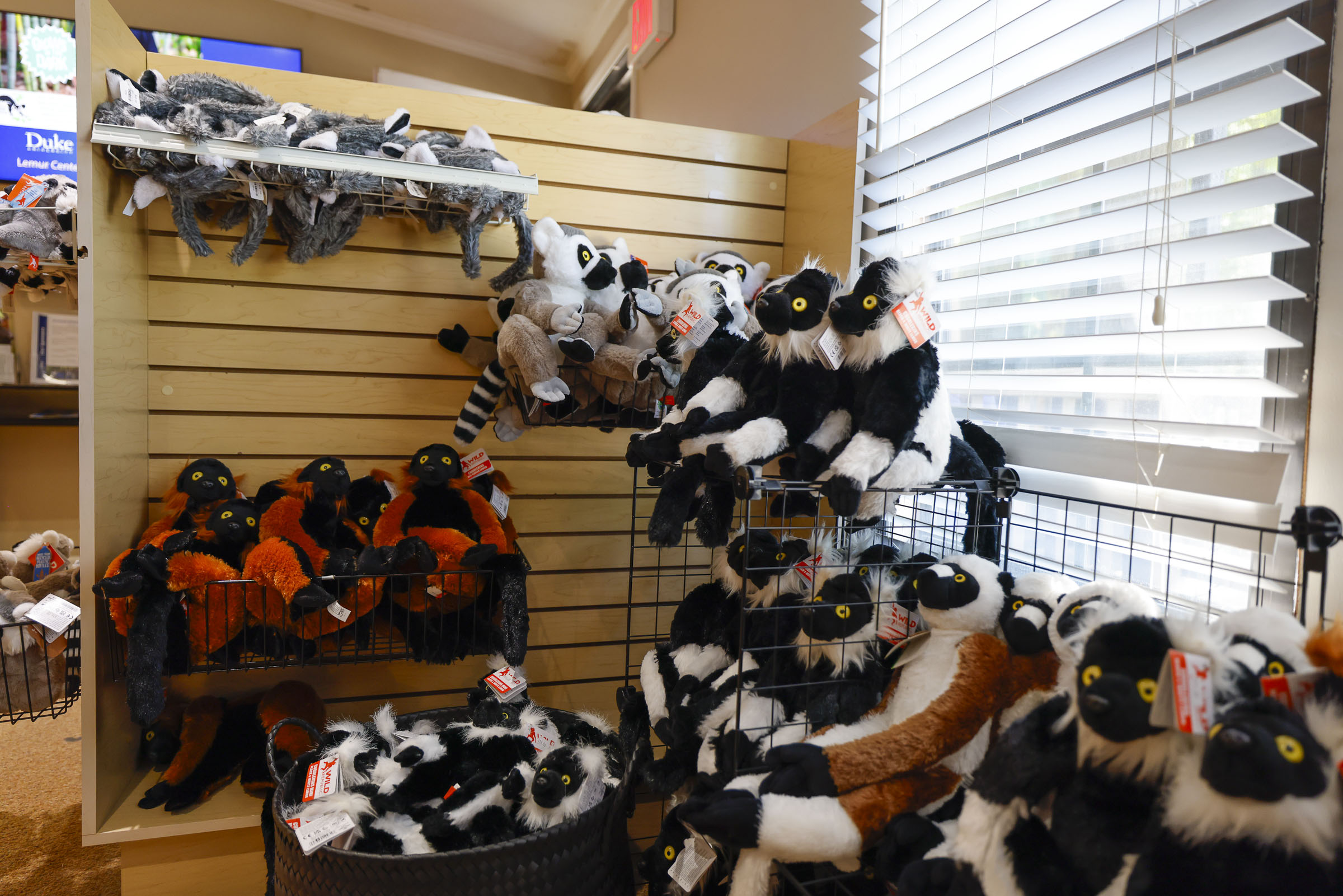 Duke Lemur Center gift shop