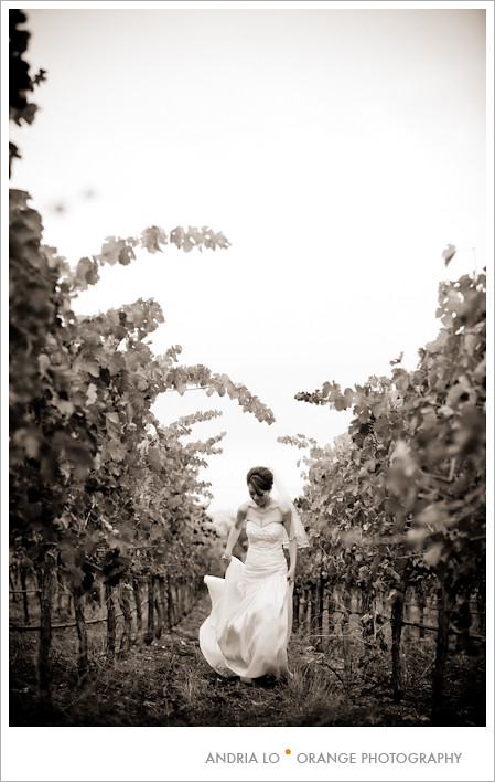 palm event center wedding